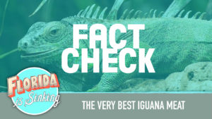 Florida is Sinking - Florida podcast - fact check