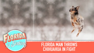 FLORIDA IS SINKING PODCAST - FLORIDA MAN THROWS CHIHUAHUA